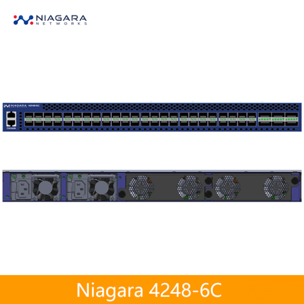 Niagara 4248-6C 1/10/25/40/100G網路進階流量 複製器｜分流器